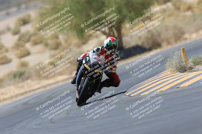 media/May-14-2023-SoCal Trackdays (Sun) [[024eb53b40]]/Turn 5 Tree of Life (1125am)/